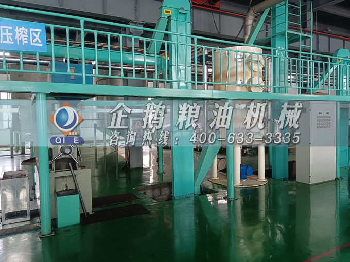 企鵝牌茶籽油雙螺桿榨油機(jī)，用心制造獲得客戶(hù)認(rèn)可(圖2)